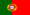 Portugese Flag Small